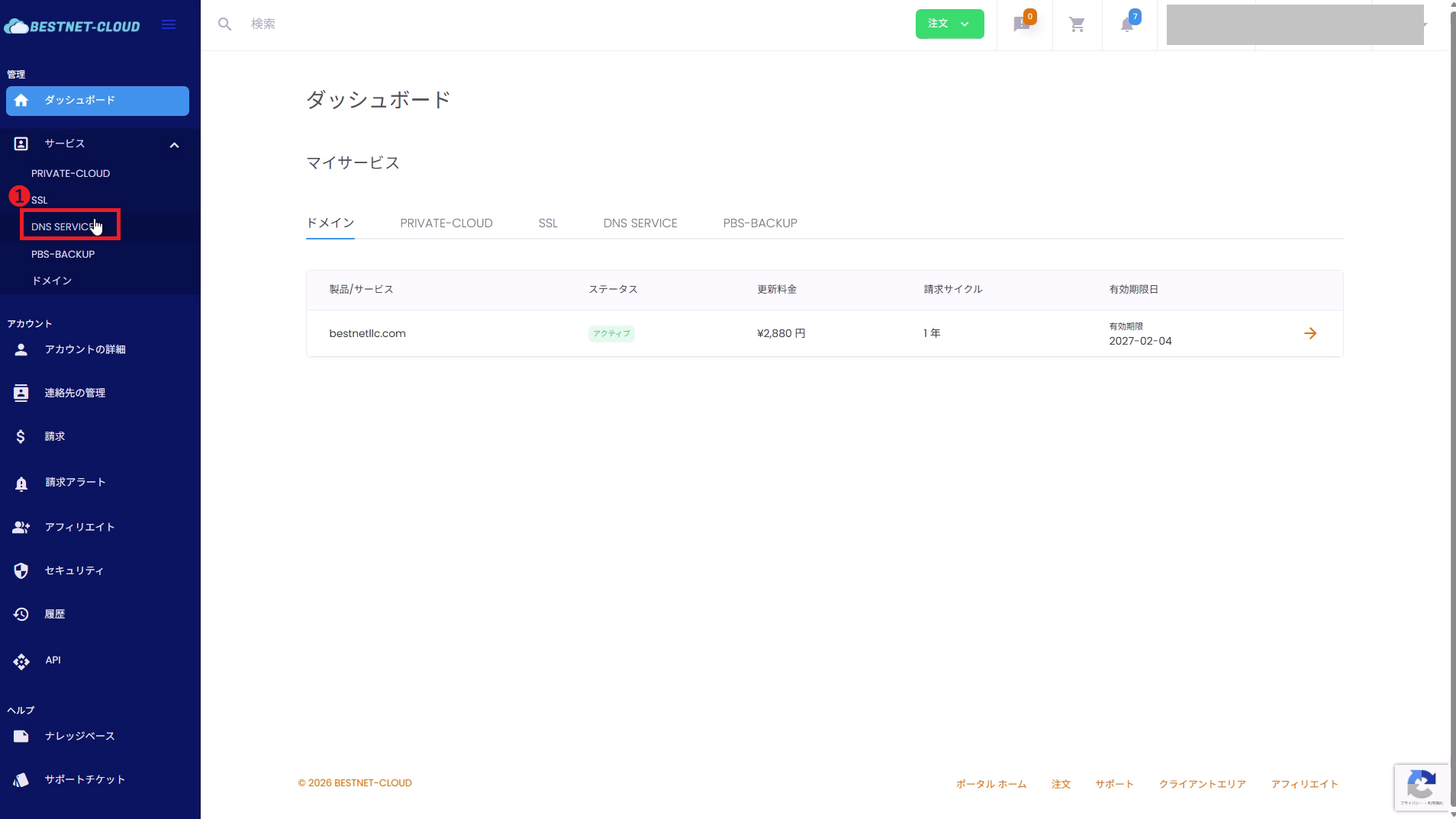 DNS サービスを開く